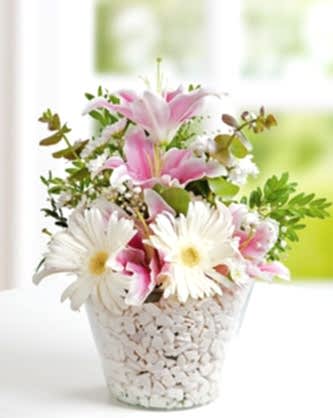 Beyaz Rüya Gerbera ve Lilyumlar