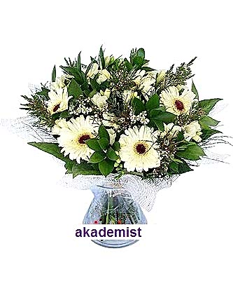 Vazoda Beyaz Papatyalar